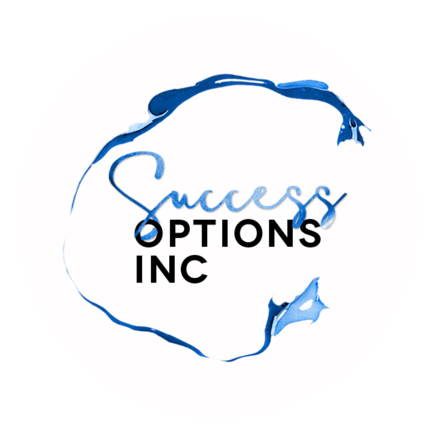 Success Options, Inc.